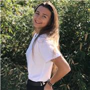 Doy clases particulares de refuerzo nivel ESO y bachillerato científico